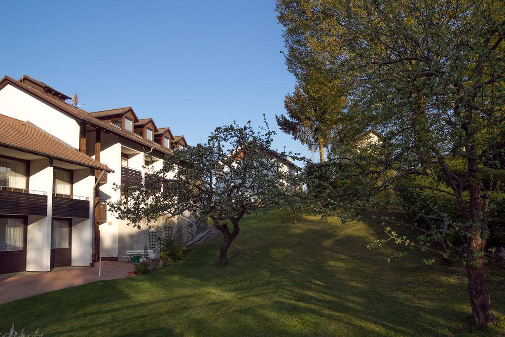 Hotel Am Lingelbach Knüllwald Екстериор снимка