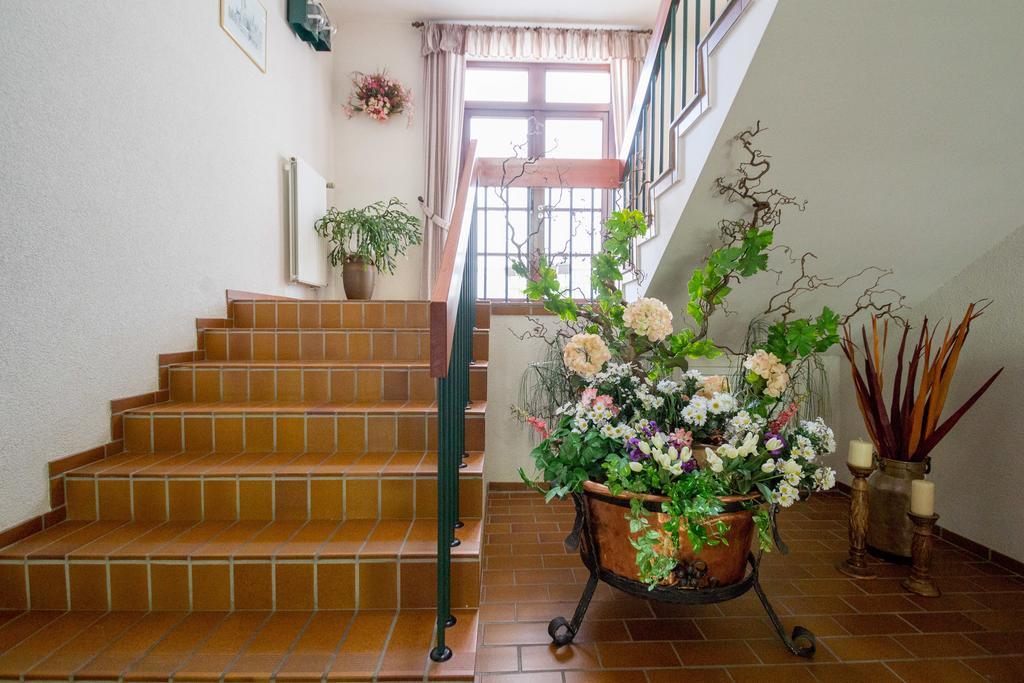 Hotel Am Lingelbach Knüllwald Екстериор снимка