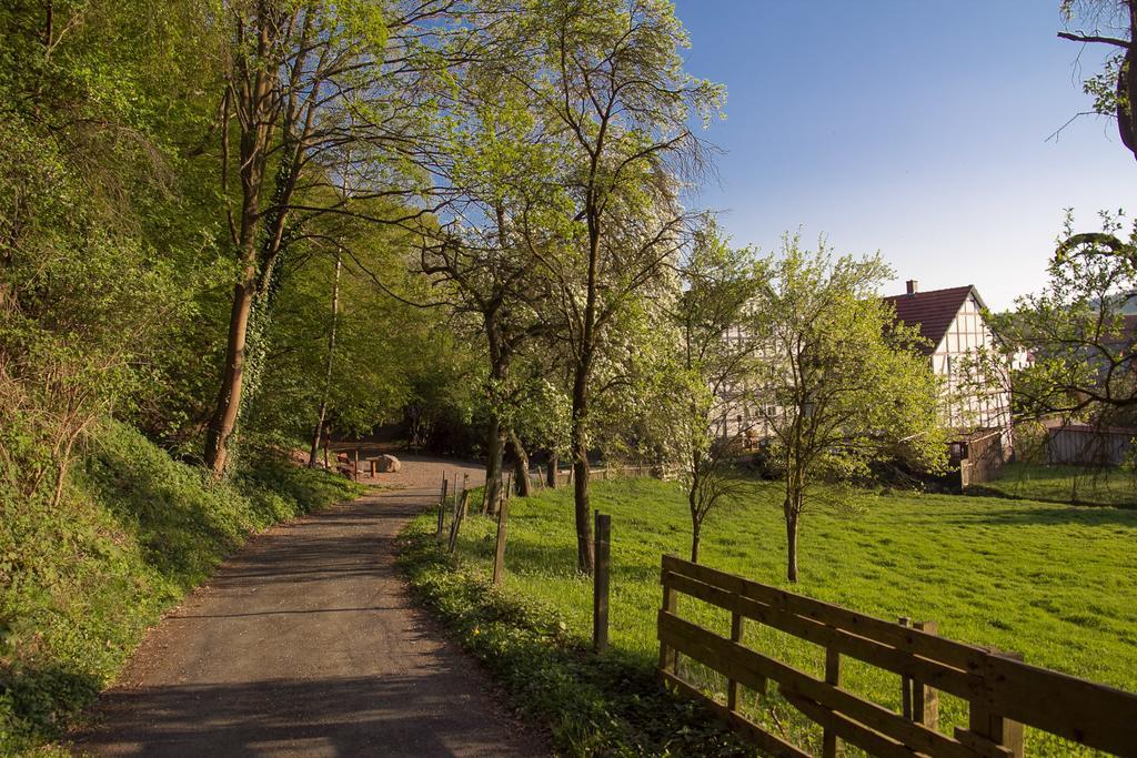 Hotel Am Lingelbach Knüllwald Екстериор снимка