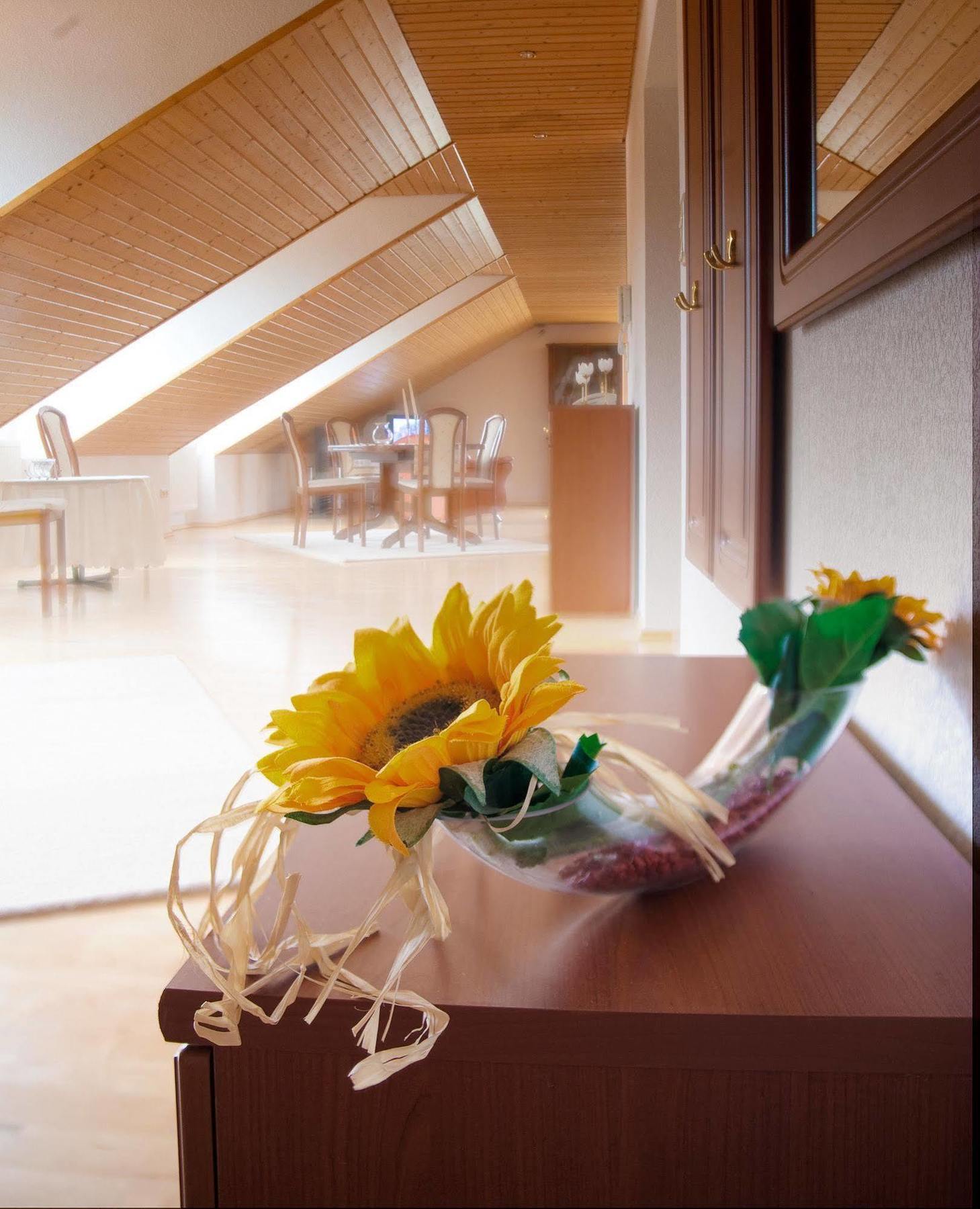 Hotel Am Lingelbach Knüllwald Екстериор снимка